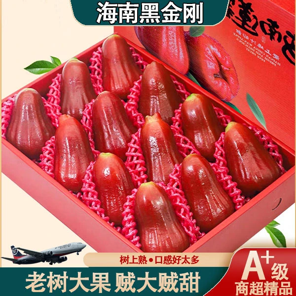精选黑金刚莲雾果包赔水果大果整件新鲜一级树上熟甜进口礼盒顺丰