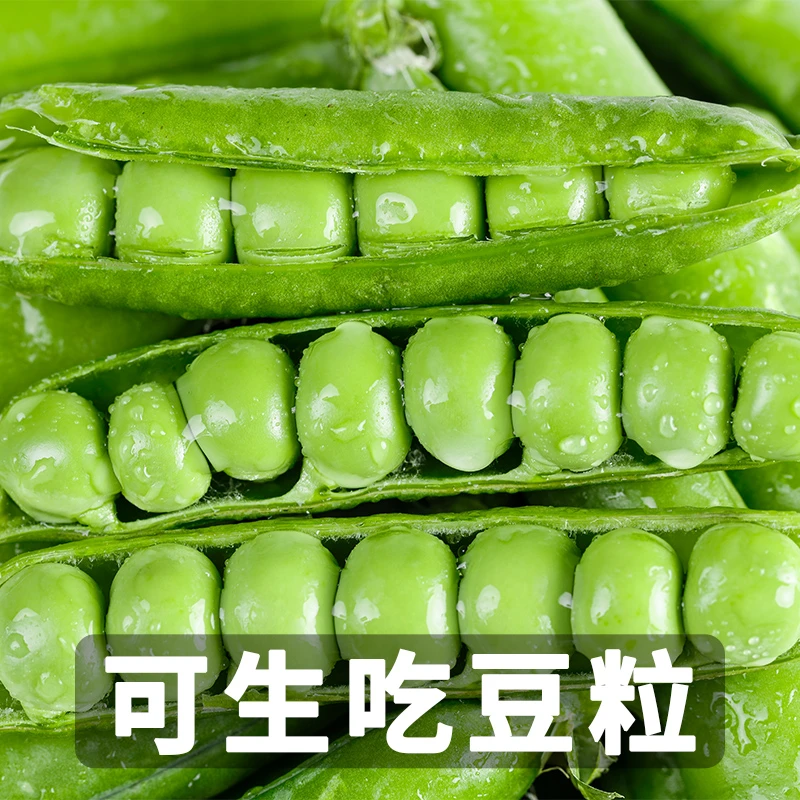 【可生吃】云南水果甜豌豆5斤3斤1斤装高原蔬菜农家种植产地直供