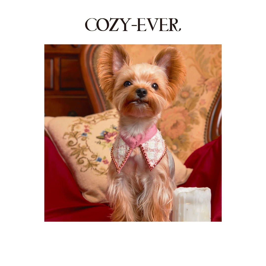 COZY-EVER镀金时代·爱丽丝甜梦围兜  非七天无理由 下单请咨询