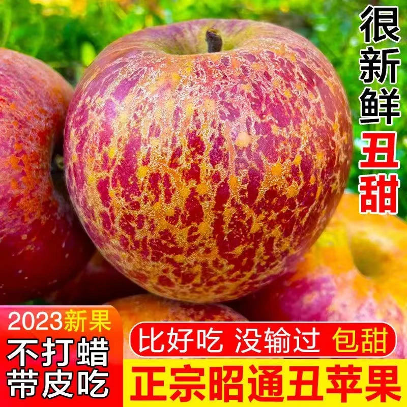 现摘水果云南昭通市丑苹果水果新鲜整箱当季红富士糖心苹果绍通