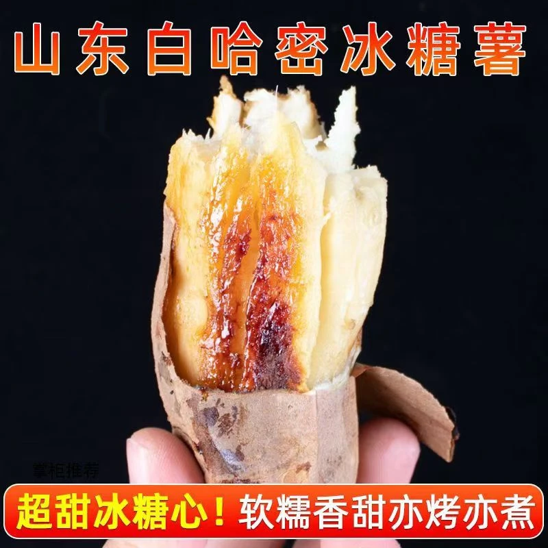 【哈密冰糖薯】红薯天花板地瓜粉面香甜红薯蜜薯烟薯番薯