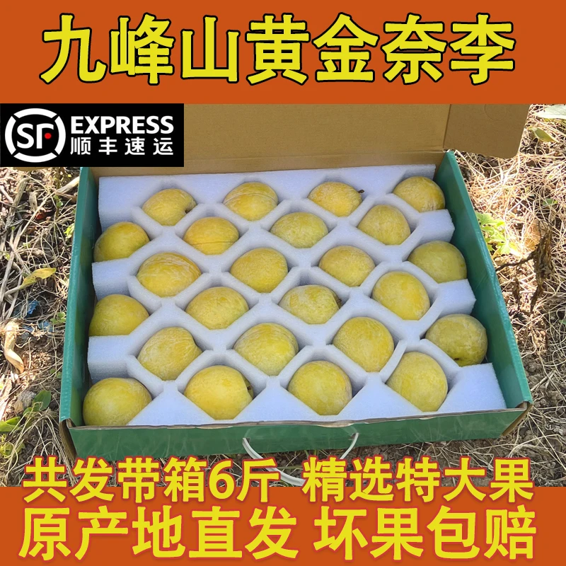 礼盒装 精选特大果九峰山黄金奈李奈李新鲜现摘冰糖蜂蜜李脱骨李