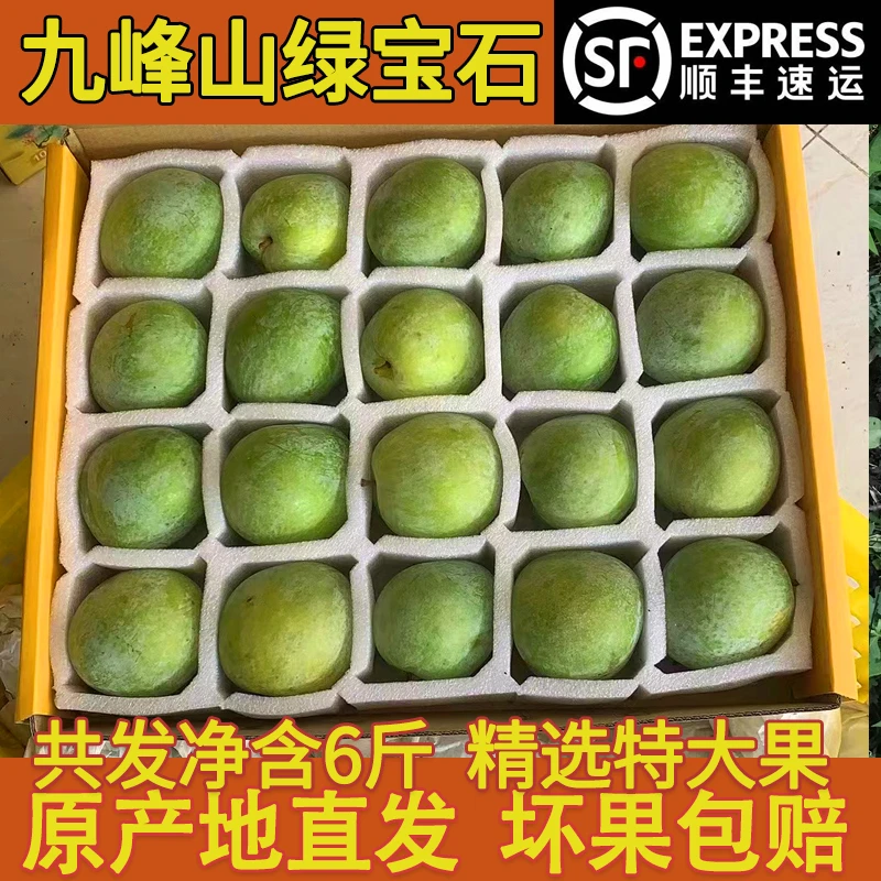 顺丰包邮礼盒装精选特大果九峰山绿宝石奈李新鲜现摘纯甜翡翠李子