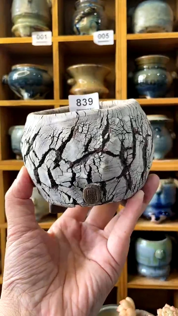 【闪购商品】陶20CM以下839 内口8.5