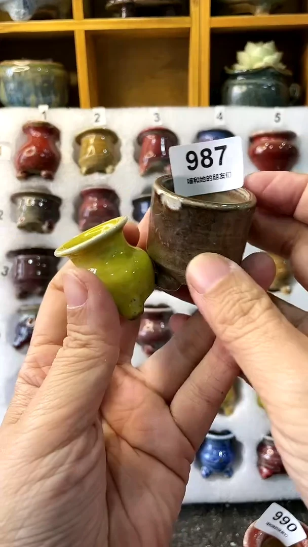 【闪购商品】陶20CM以下987