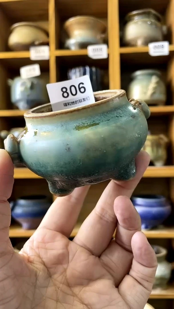 【闪购商品】陶20CM以下806 内口5【限时特惠】