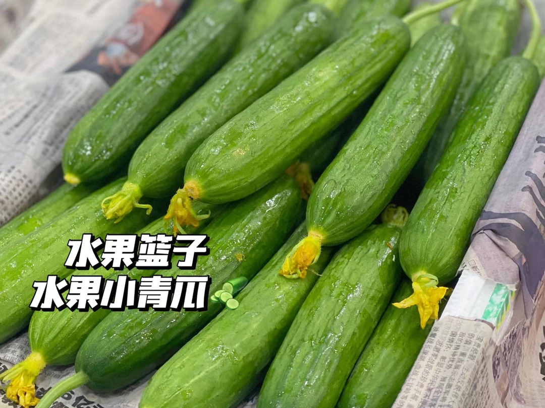 (满39配送到家)水果小青瓜(1斤)