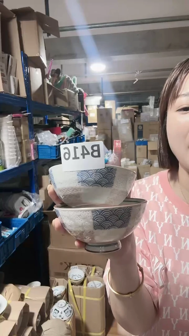 【闪购商品】高端瓷器海波格11.5cm碗两只B416