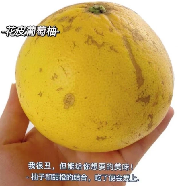 4号链接松口镇农家不打药花皮爆汁葡萄柚送榨汁机净重约9斤7-8个