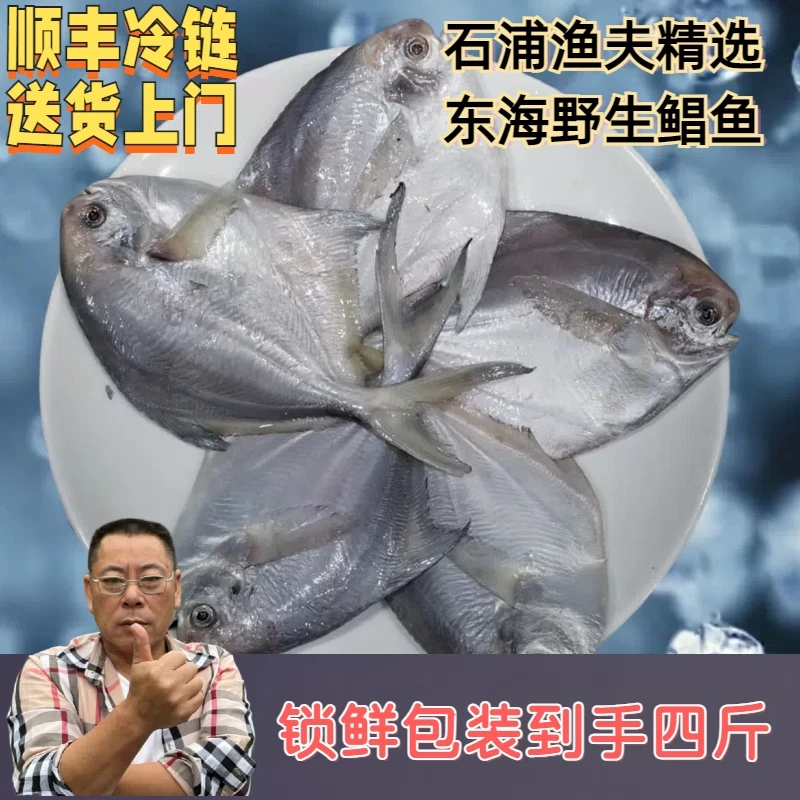 【石浦渔夫】【鲳鱼】宁波东海野生 海鲜 顺丰冷链包邮 象山石浦发货