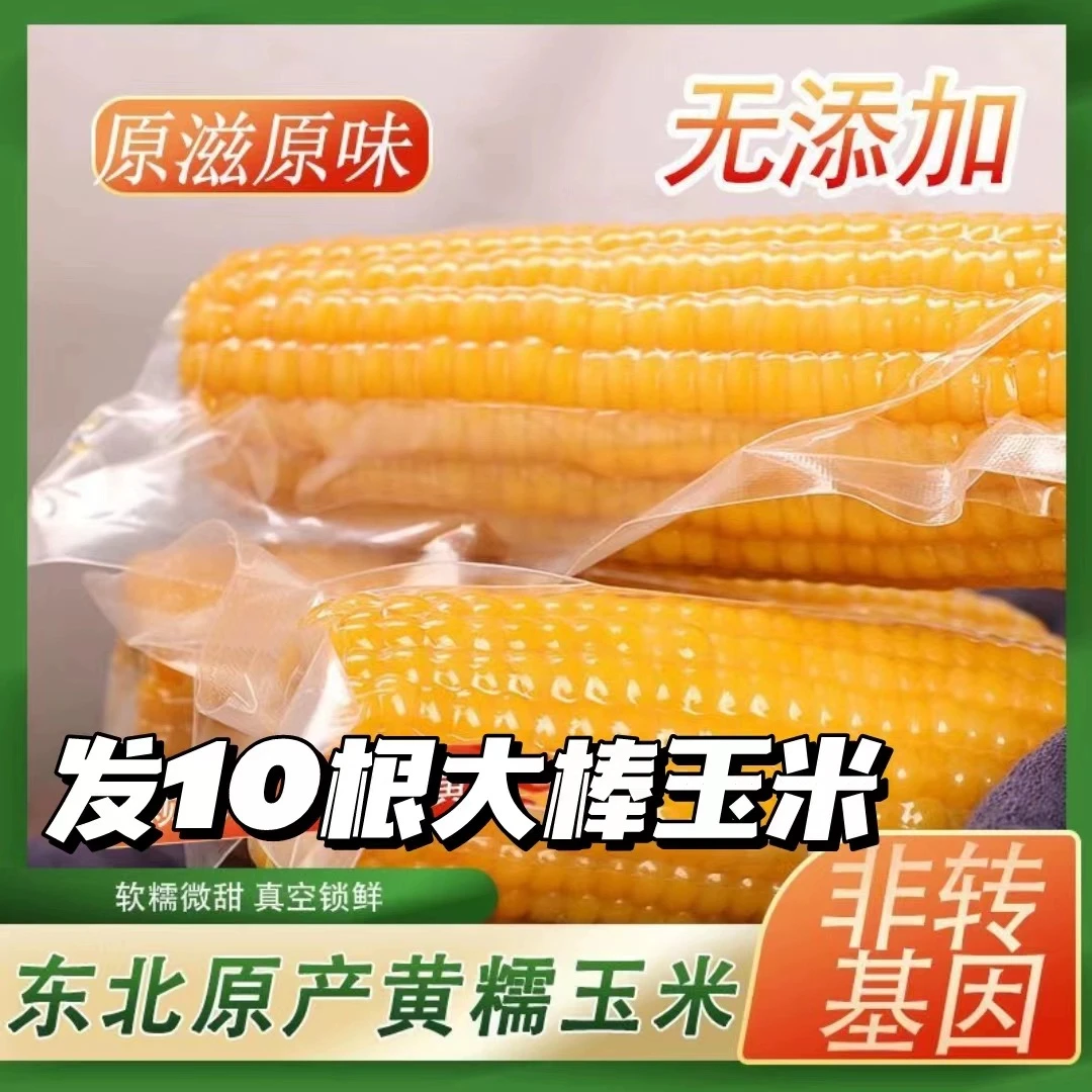 黑土地种植 软糯【拍8送2到手10根 】2023东北黄糯玉米260/g-280g