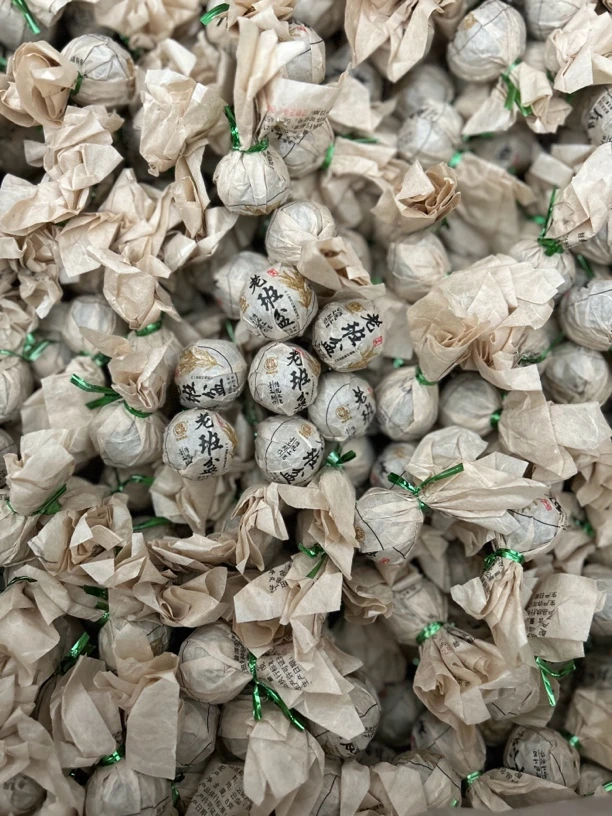 【班盆老寨117号】2024头春龙株10颗