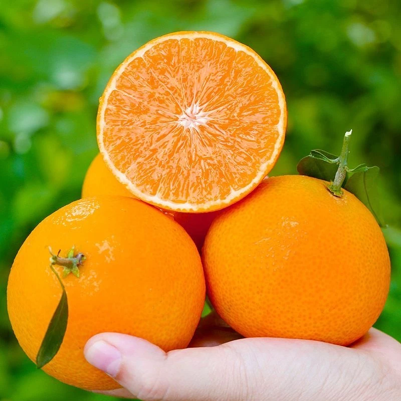 正宗四川爱媛38号果冻橙新鲜橙子4.5-8斤大果当季水果现货香橙