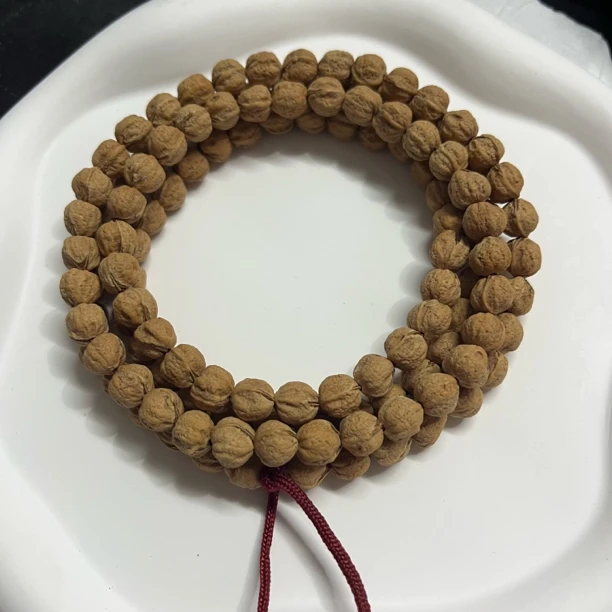 【百香籽】原装竖打红芽 108长串 高油高密 精挑精卡尺寸大小统一