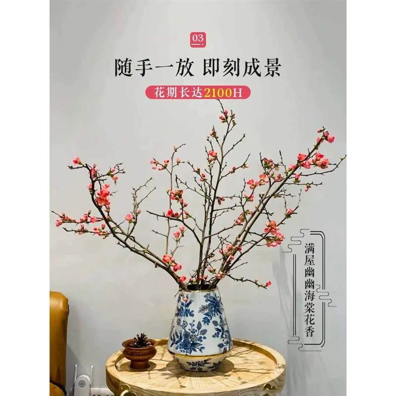 水培植物四季海棠花鲜切枝室内客厅水养绿植盆栽树苗卉插花禄