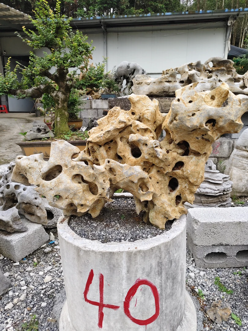 太湖石，玲珑石摆件，直播间一物一拍为准