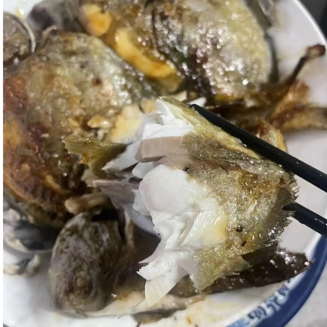 海陵岛 海黑鲳鱼  干煎清蒸  少刺