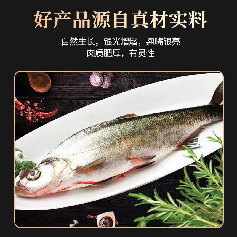 【推荐买5条】单条净重：2.5-3.0斤生态翘嘴鲌新鲜大白刁