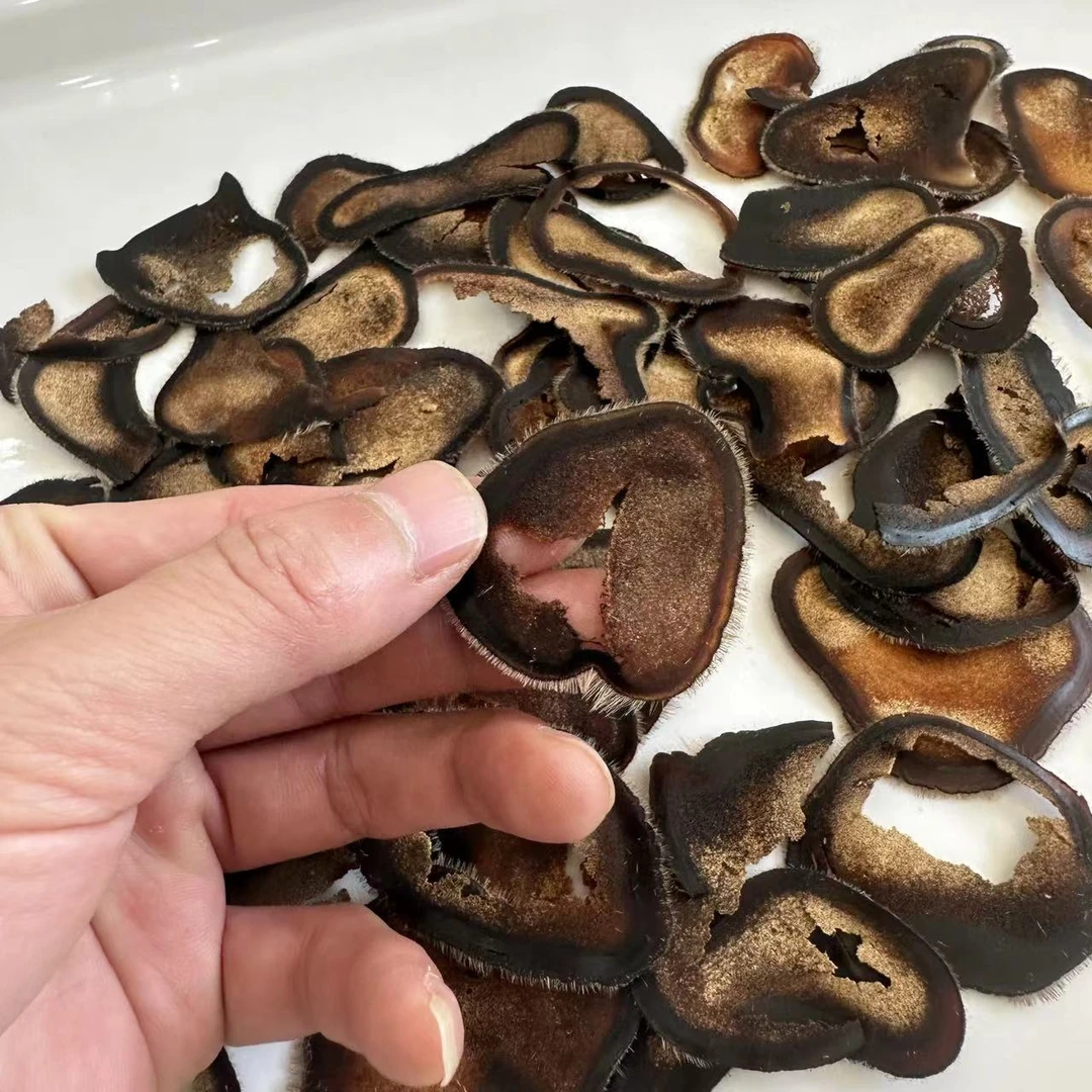 【鹿茸半蜡破损片】正宗东北鹿茸煲汤泡酒煮茶泡茶严选佳品