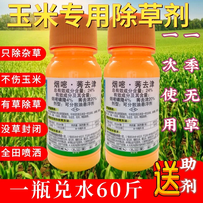 玉米地除草专用剂玉米苗后专用除草剂硝磺莠去津护苗型不伤玉米苗