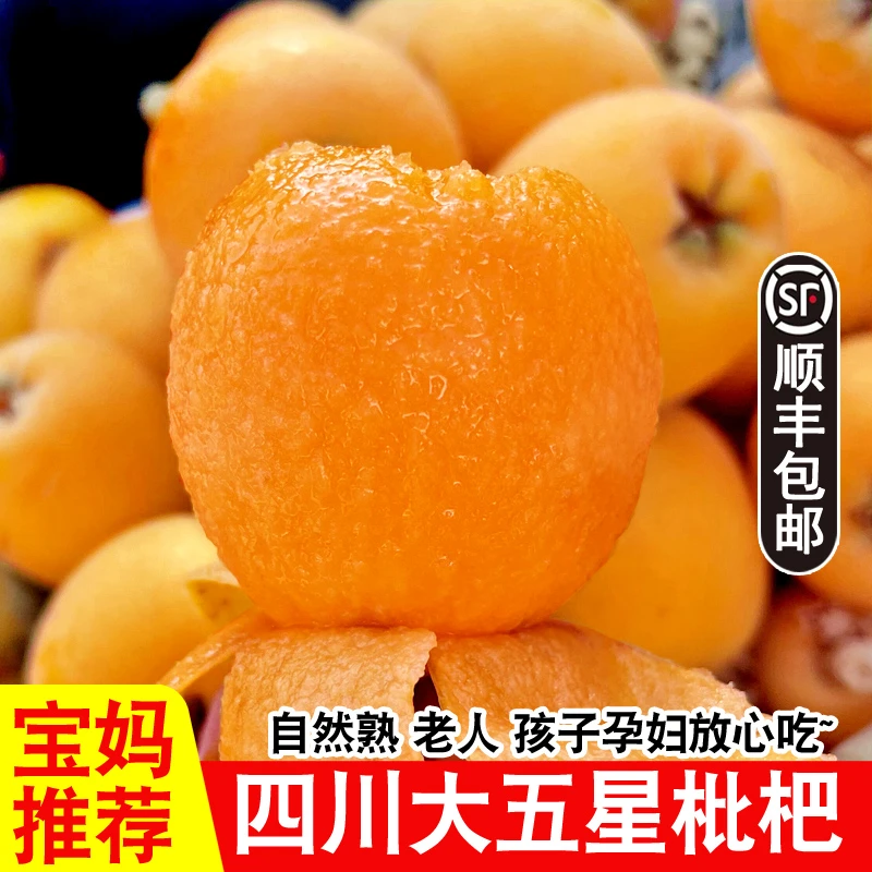【顺丰快递】四川大五星甜枇杷高山枇杷新鲜水果当季琵琶特大果整箱