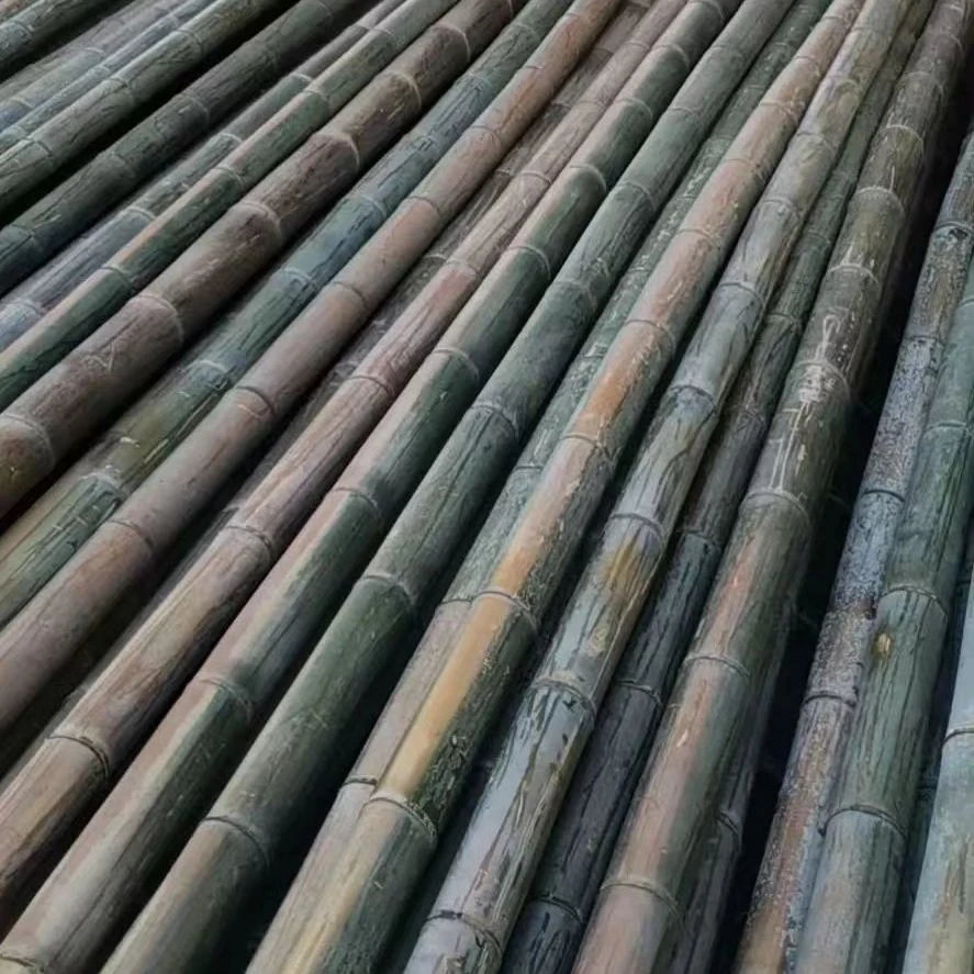 婚庆绿色搭架竹子杆粗竹竿装饰绿化装修大毛竹各种蔬菜棚立柱批发
