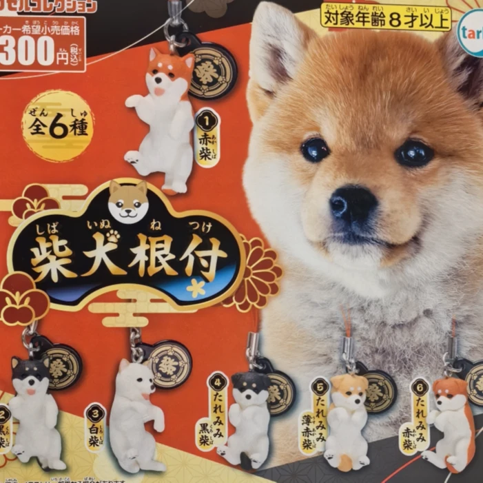 代拆现货 柴犬挂件系列 摆件扭蛋