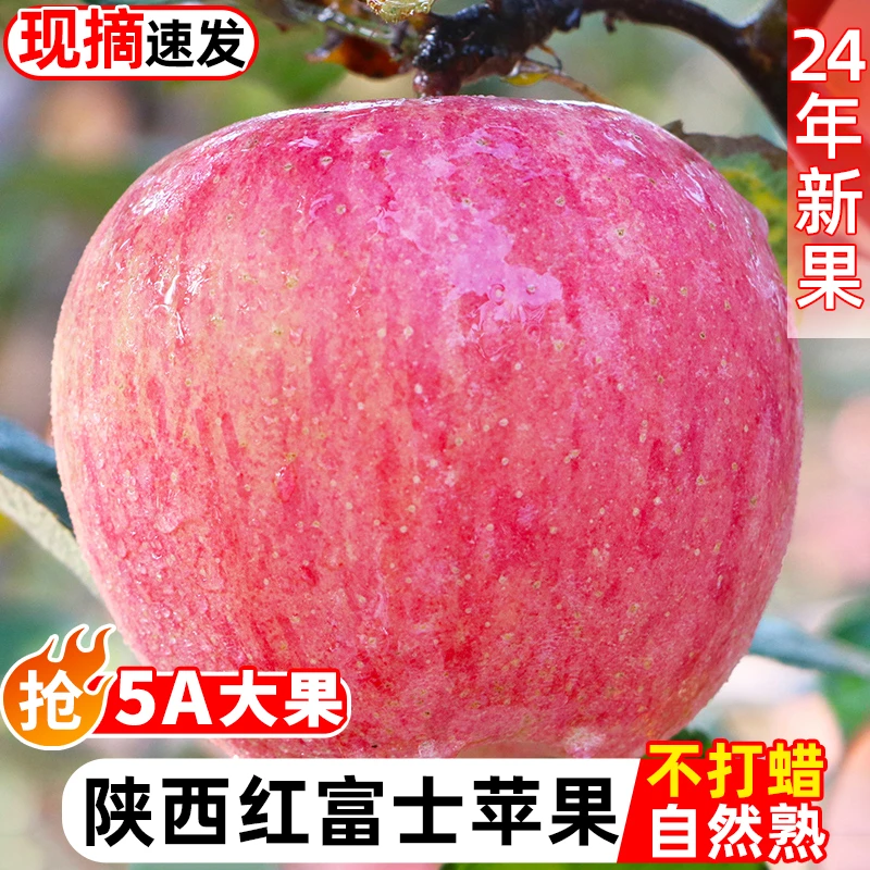 【买5斤送5斤带箱9-10斤】产地直发陕西红富士苹果脆甜多汁