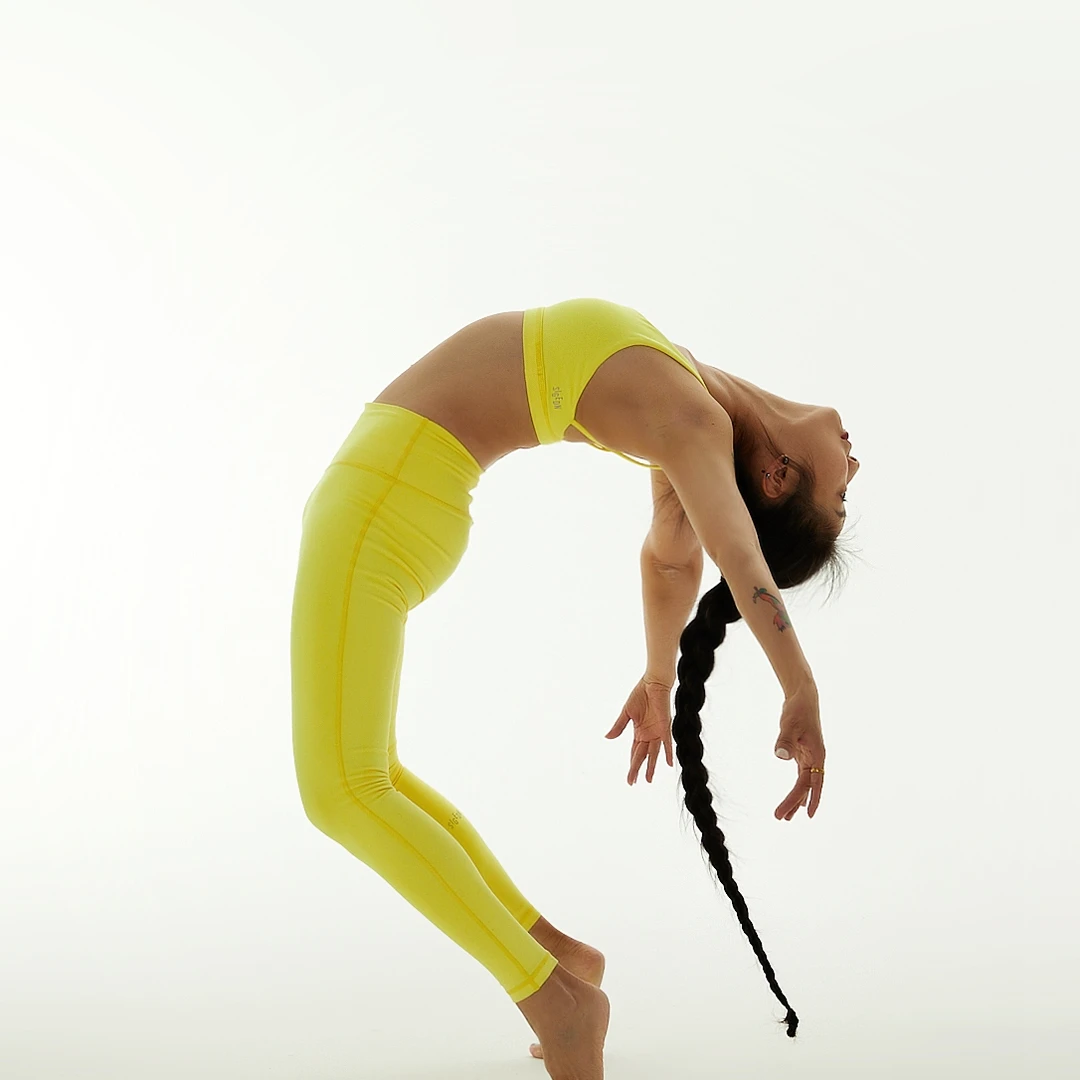 【手平衡主题】  解剖课