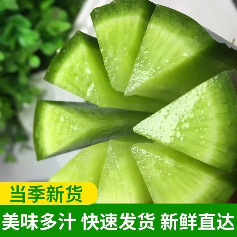 新鲜甜脆水果萝卜甜脆水果型3-9斤绿青萝卜新鲜生吃包邮水萝卜