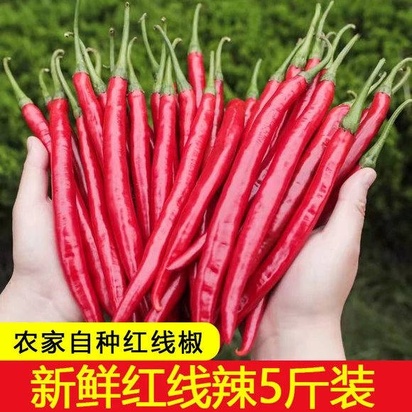 新鲜二荆条红辣椒1-5斤二金条海椒线椒做豆瓣酱红辣椒整箱包邮