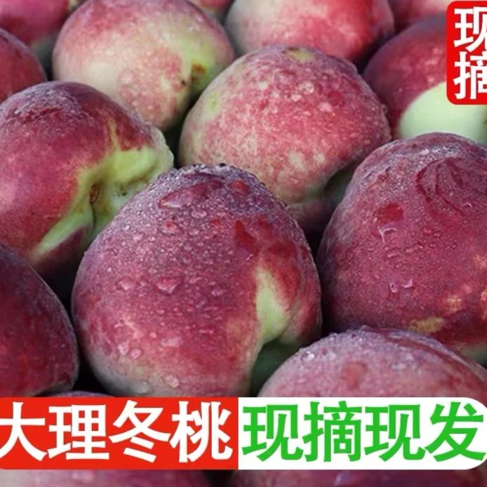 正宗冬桃雪桃口感脆甜酥脆冬桃3-5斤毛桃蜜桃现摘现发整箱包邮