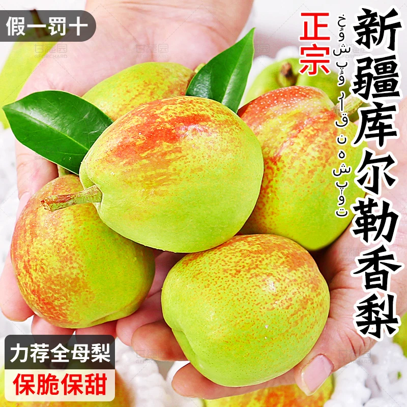 库尔勒香梨全母梨梨子3-9斤新鲜水果玉露冰糖雪梨当季整箱包邮