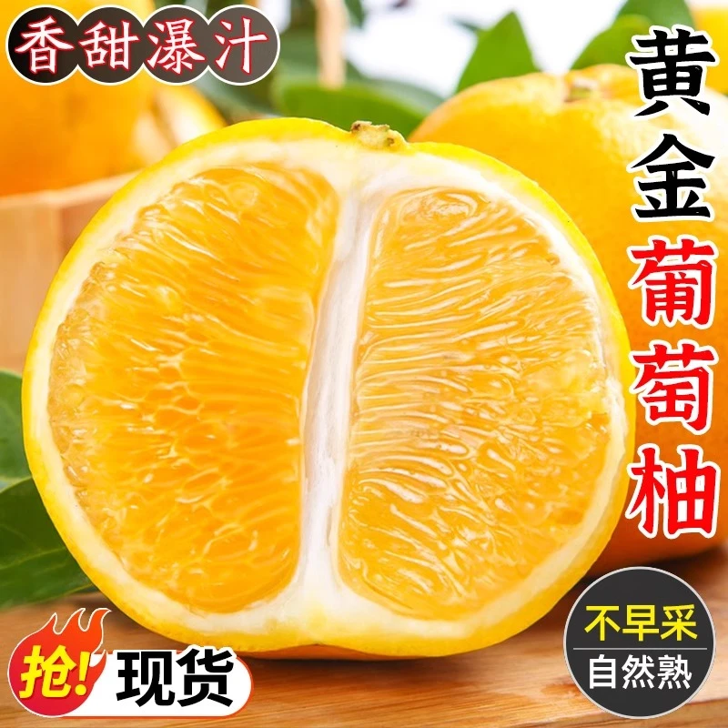 现货黄金葡萄柚子当季新鲜水果3-9斤西柚黄心柚子酸甜蜜柚包邮