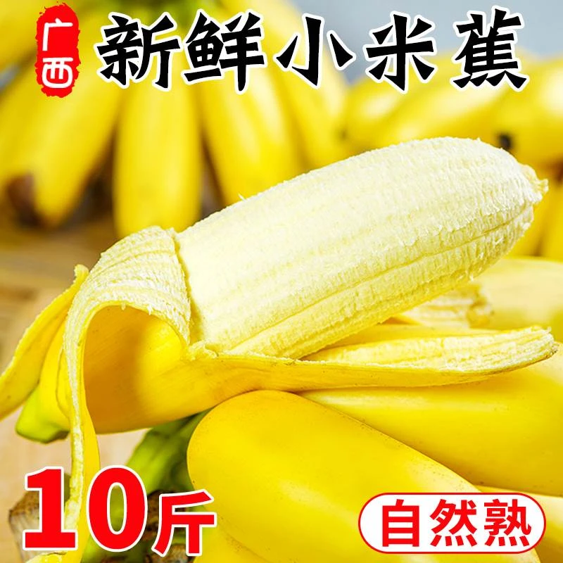 正宗小米蕉香蕉2-9斤新鲜水果整箱当季鲜苹果蕉自然熟粉蕉包邮