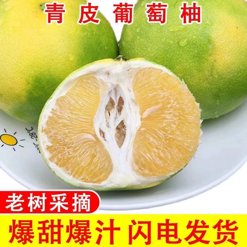 青柚水果沙田白糖蜜柚蜂蜜柚3-9斤现摘青皮白心柚子整箱包邮