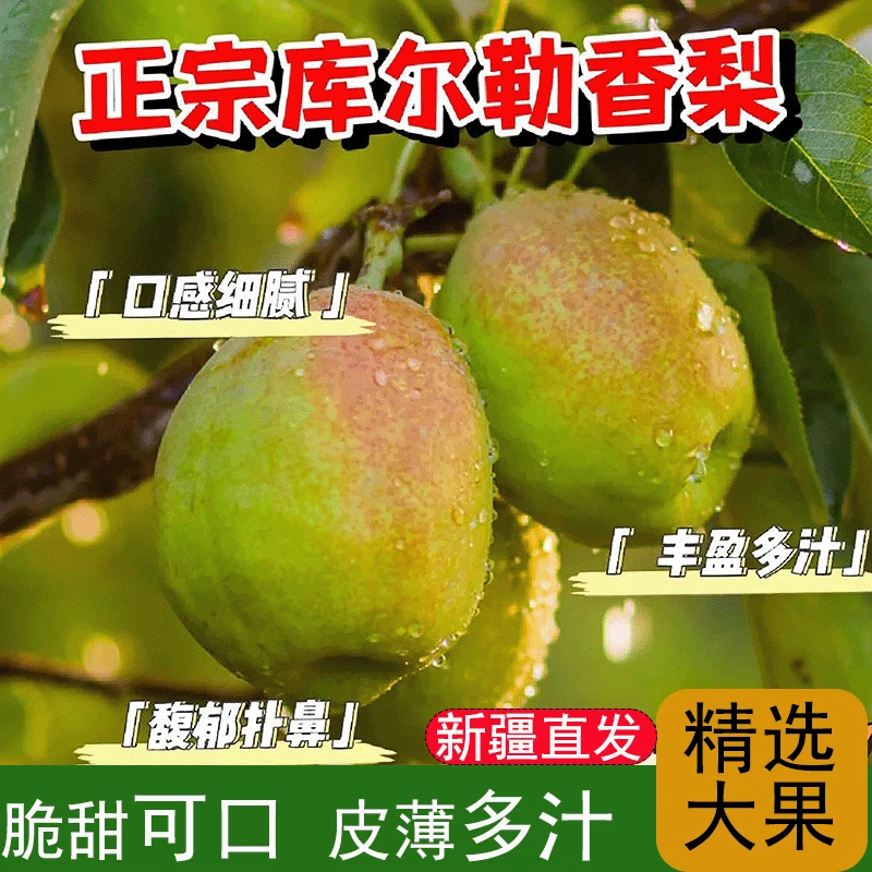 正宗现摘现发库尔勒香梨新鲜水果3-9斤大果当季全母梨整箱包邮