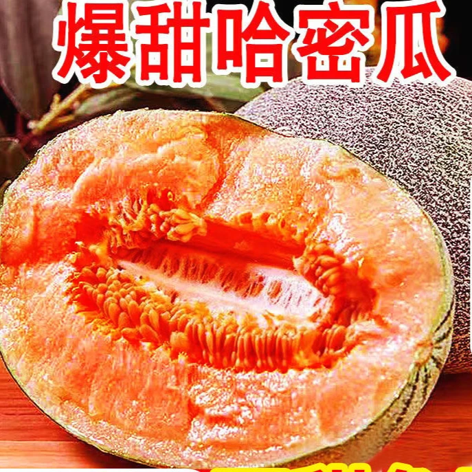 海南哈密瓜甜瓜玲珑瓜3-9斤新鲜孕妇水果整箱应季水果整箱包邮