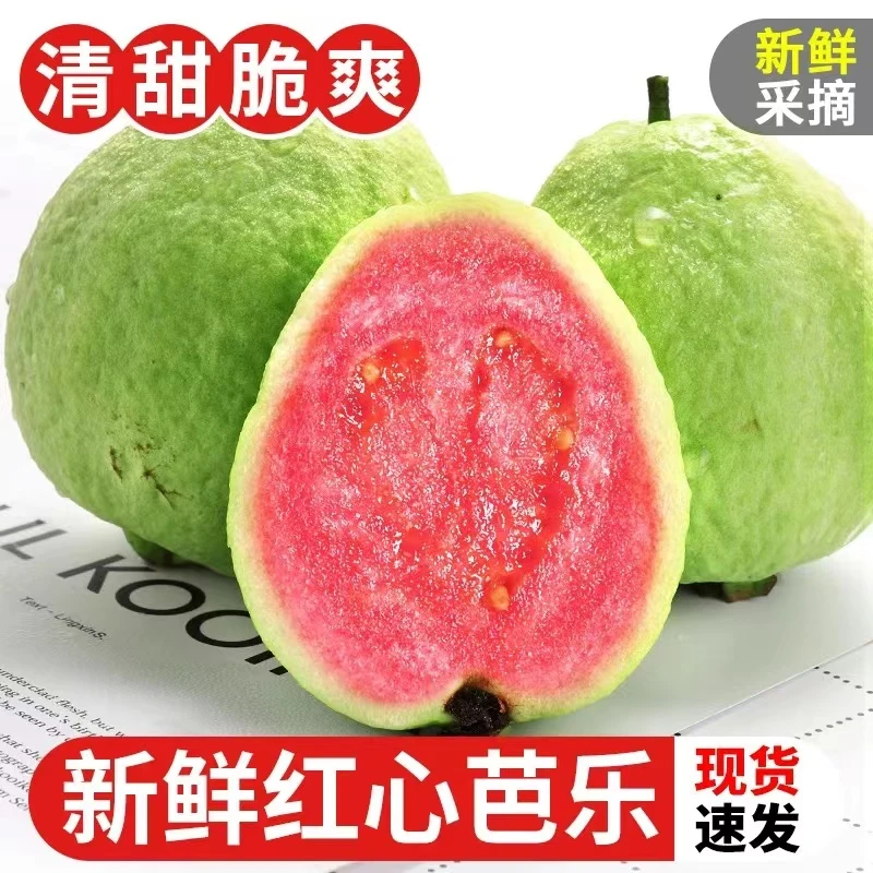 红心番石榴2-5斤新鲜水果现摘现发潘石榴低糖甜脆水果巴乐包邮