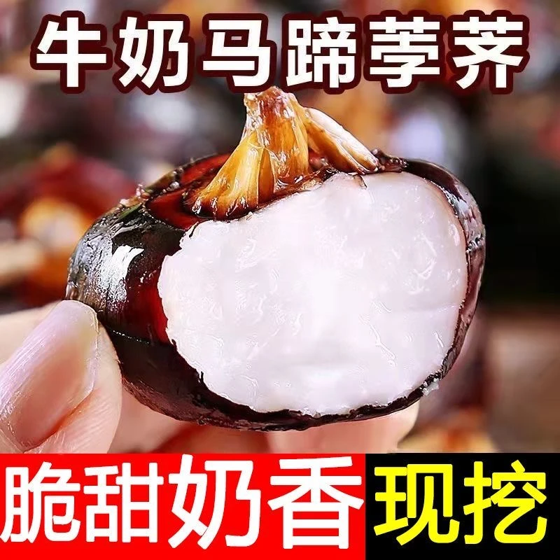 新鲜马蹄应季整箱时令水果蔬菜3-9斤现挖脆超甜地栗荸荠饽荠小果