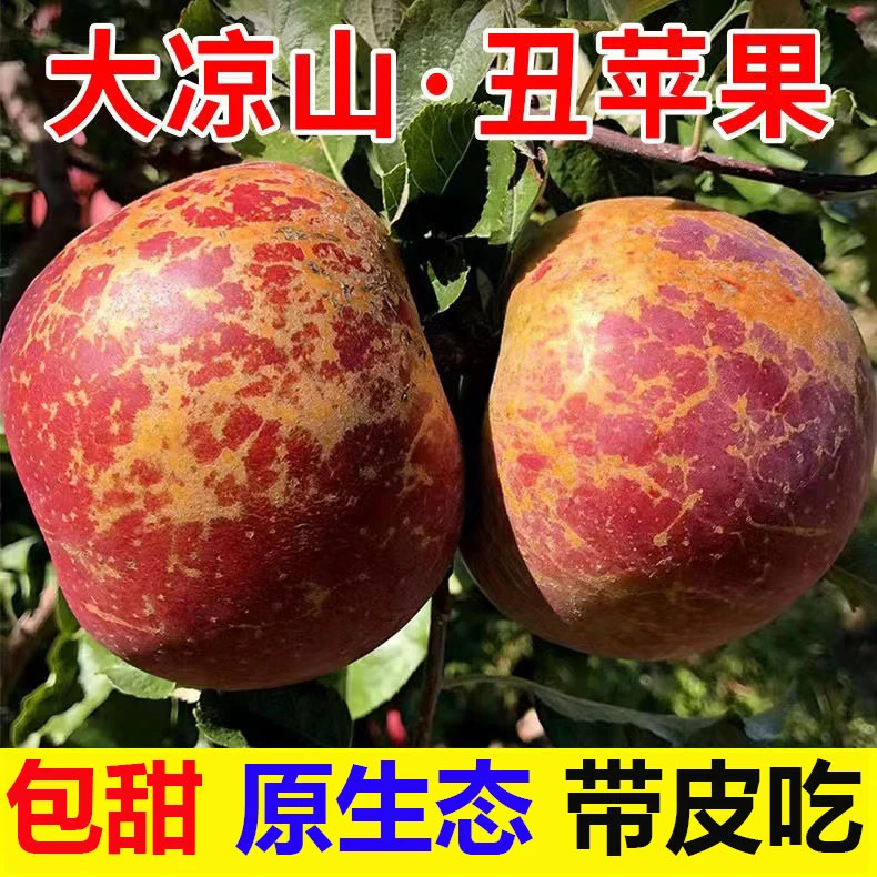 大凉山冰糖心丑苹果5斤正宗盐源新鲜红富士苹果水果脆甜当季包邮