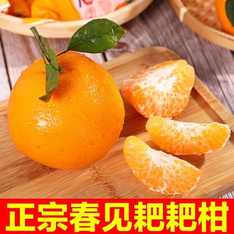 春见耙耙柑当季丑桔子粑粑柑新鲜孕妇水果3-9斤斤杷杷柑整箱包邮
