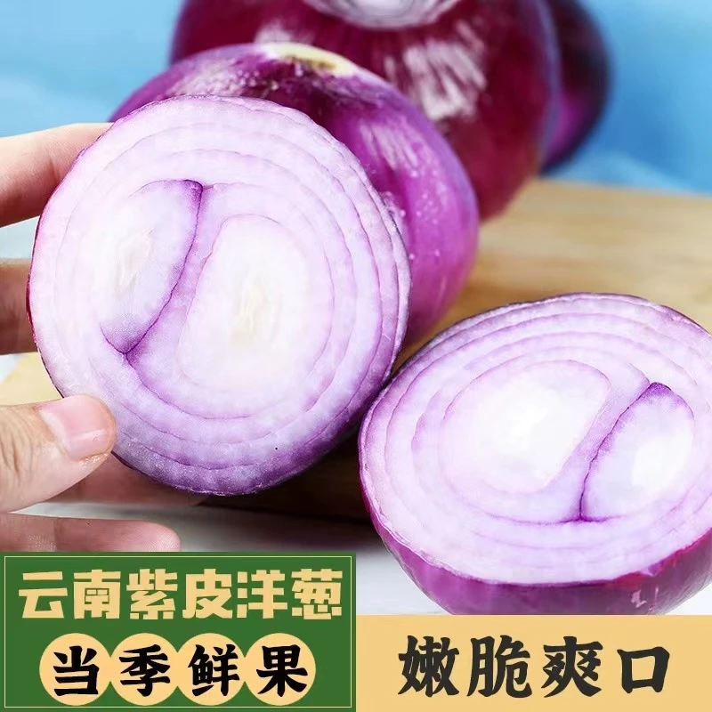 新鲜洋葱紫皮洋葱新鲜3-9斤水果甜圆葱洋葱头红洋葱农家蔬菜包邮