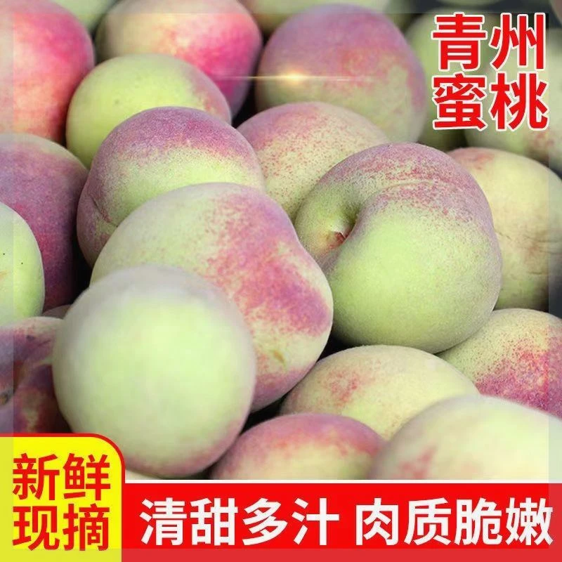 正宗青州蜜桃青皮桃子桃子3-5斤新鲜离核毛桃非水蜜桃现货包邮