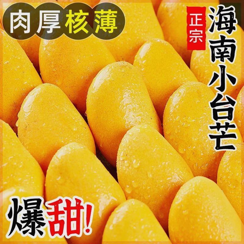 小台农芒果新鲜现摘3-9斤小台芒果应当季热带水果特产整箱包邮