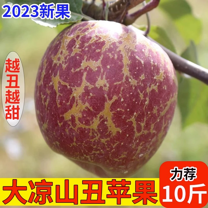 丑苹果水果新鲜当季整箱5斤包邮红富士冰糖心脆甜平果大果小苹果