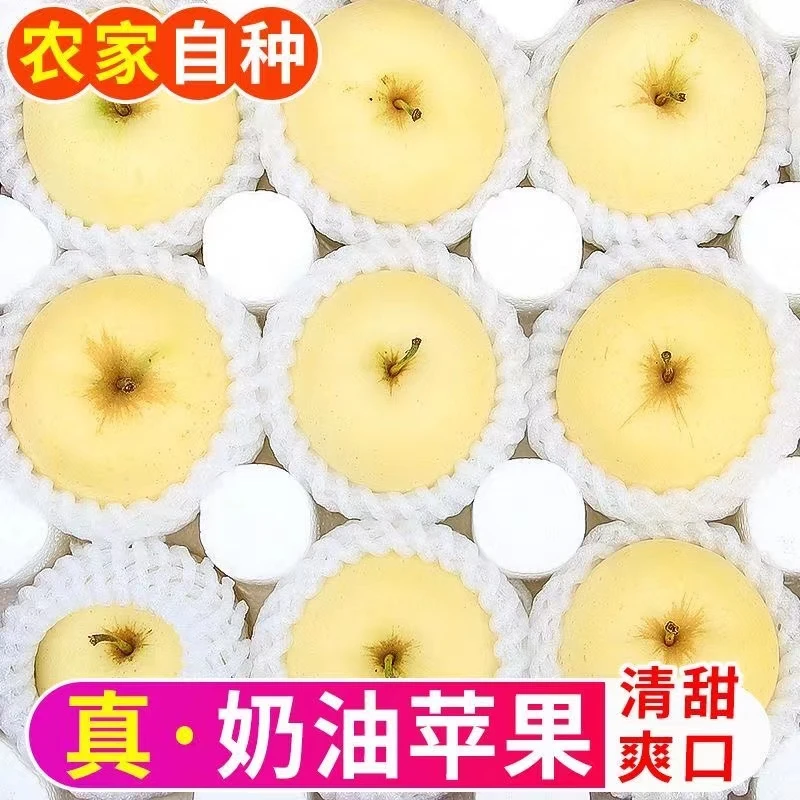 苹果奶油富士苹果5-9斤新鲜水果现摘爆汁口感脆甜黄金苹果包邮