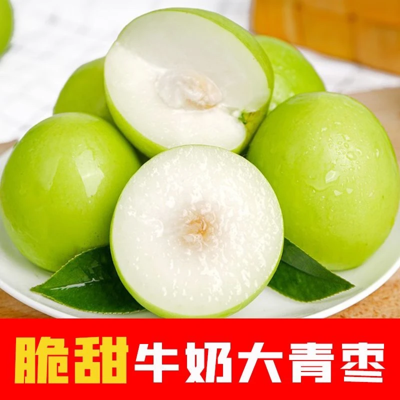 现货牛奶枣大青枣1-9斤水果枣子贵妃苹果特脆枣鲜冬枣整箱包邮