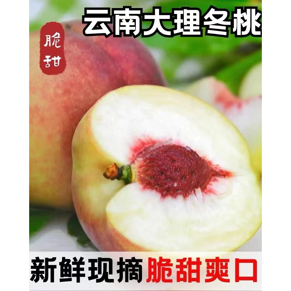 现摘现发冬雪蜜桃口感酥脆脆甜3-5斤新鲜水蜜桃应季水果整箱包邮