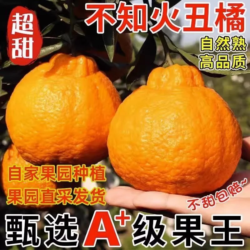 不知火丑橘2-9斤丑八怪新鲜水果孕妇耙耙丑柑桔子鲜果超甜包邮